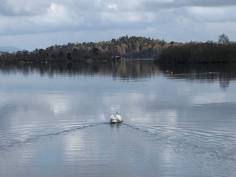 Luss